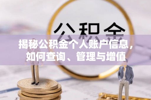 山东揭秘公积金个人账户信息，如何查询、管理与增值