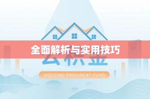 山东全面解析与实用技巧