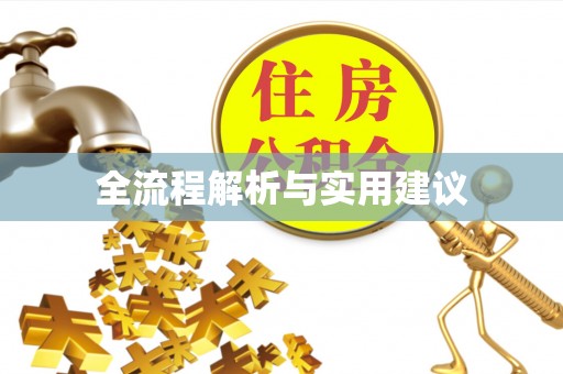 山东全流程解析与实用建议