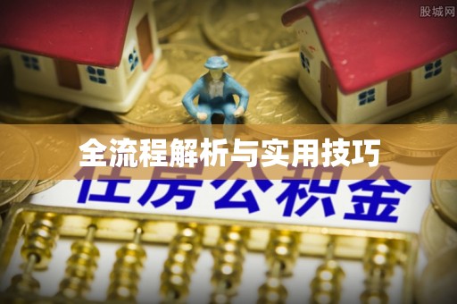 山东全流程解析与实用技巧
