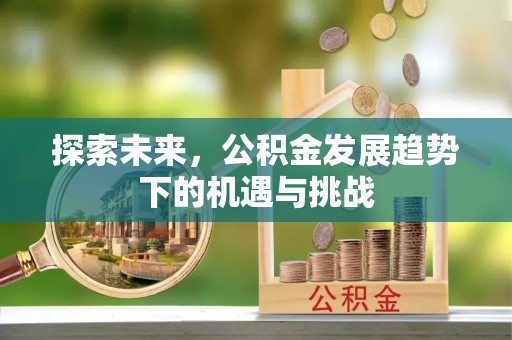 山东探索未来，公积金发展趋势下的机遇与挑战