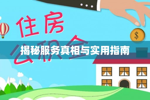山东揭秘服务真相与实用指南