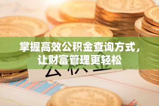 山东掌握高效公积金查询方式，让财富管理更轻松
