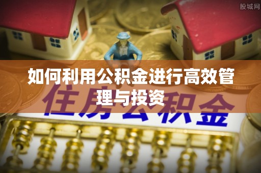 山东如何利用公积金进行高效管理与投资